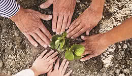 Global impact